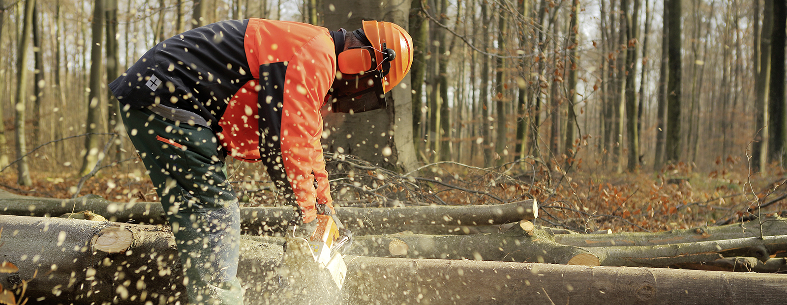 Regenerative Energie